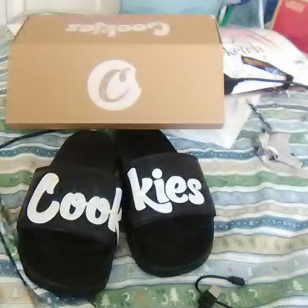 Slides